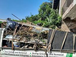 Best Carpet Removal and Disposal  in Opelika, AL